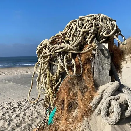 Strandnaher Nr 156 Grosser, Uneinsehbarer Garten, 1,60 M Hoch Eingezaeunt Am Ende Des Parks, Sehr Ruhig בית נופש Sint Maartensvlotbrug