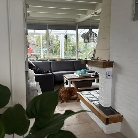 Strandnahes Nr 156 Mit Traumhaften Wintergarten Und Uneinsehbaren, Grossen Garten, Eckgrundstueck *