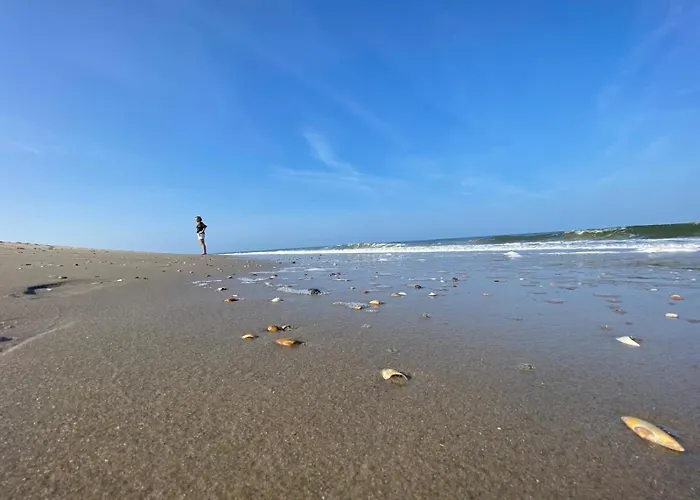 Дом отдыха Strandnahes Nr 156 Ferienhaus Grosser, Uneinsehbarer Garten, 1,60 M Hoch Eingezaeunt Am Ende Des Parks, Sehr Ruhig *