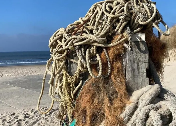 Strandnahes Nr 156 Ferienhaus Grosser, Uneinsehbarer Garten, 1,60 M Hoch Eingezaeunt Am Ende Des Parks, Sehr Ruhig Дом отдыха Sint Maartensvlotbrug