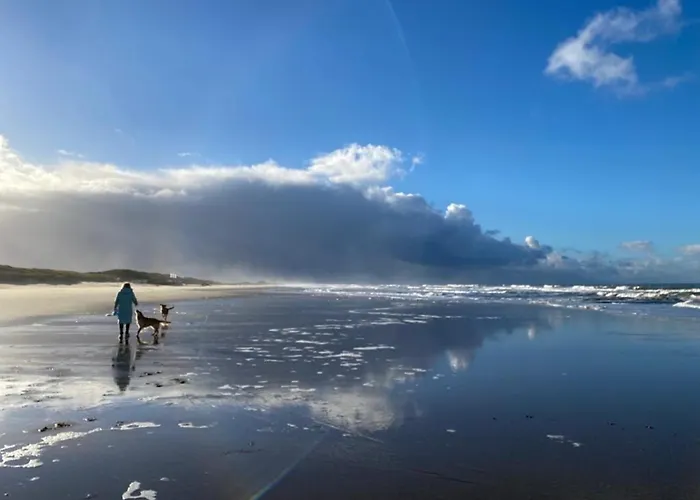 Strandnahes Nr 156 Ferienhaus Grosser, Uneinsehbarer Garten, 1,60 M Hoch Eingezaeunt Am Ende Des Parks, Sehr Ruhig